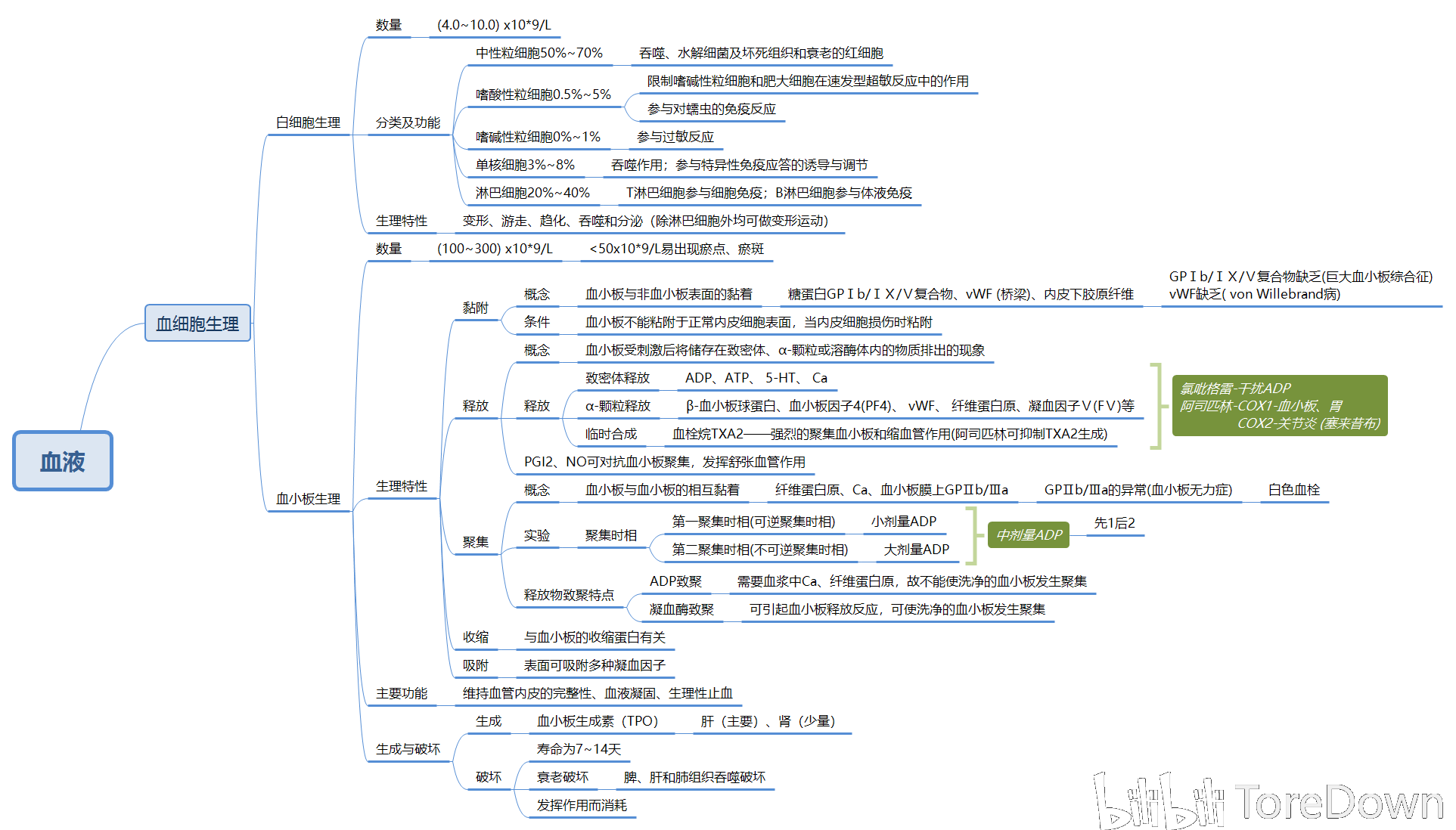 生理学思维导图