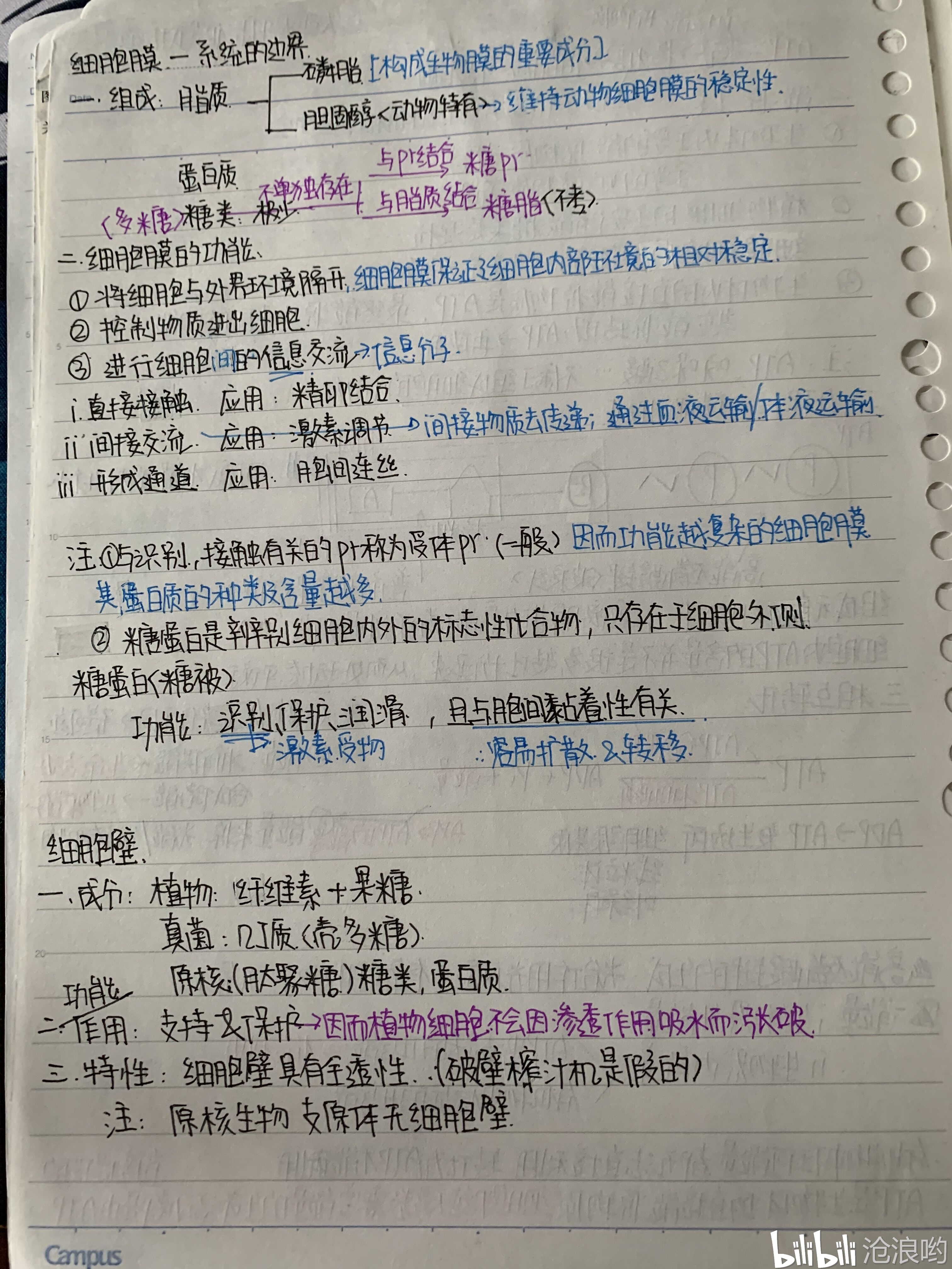 高考生物//必修一最全手写笔记总结