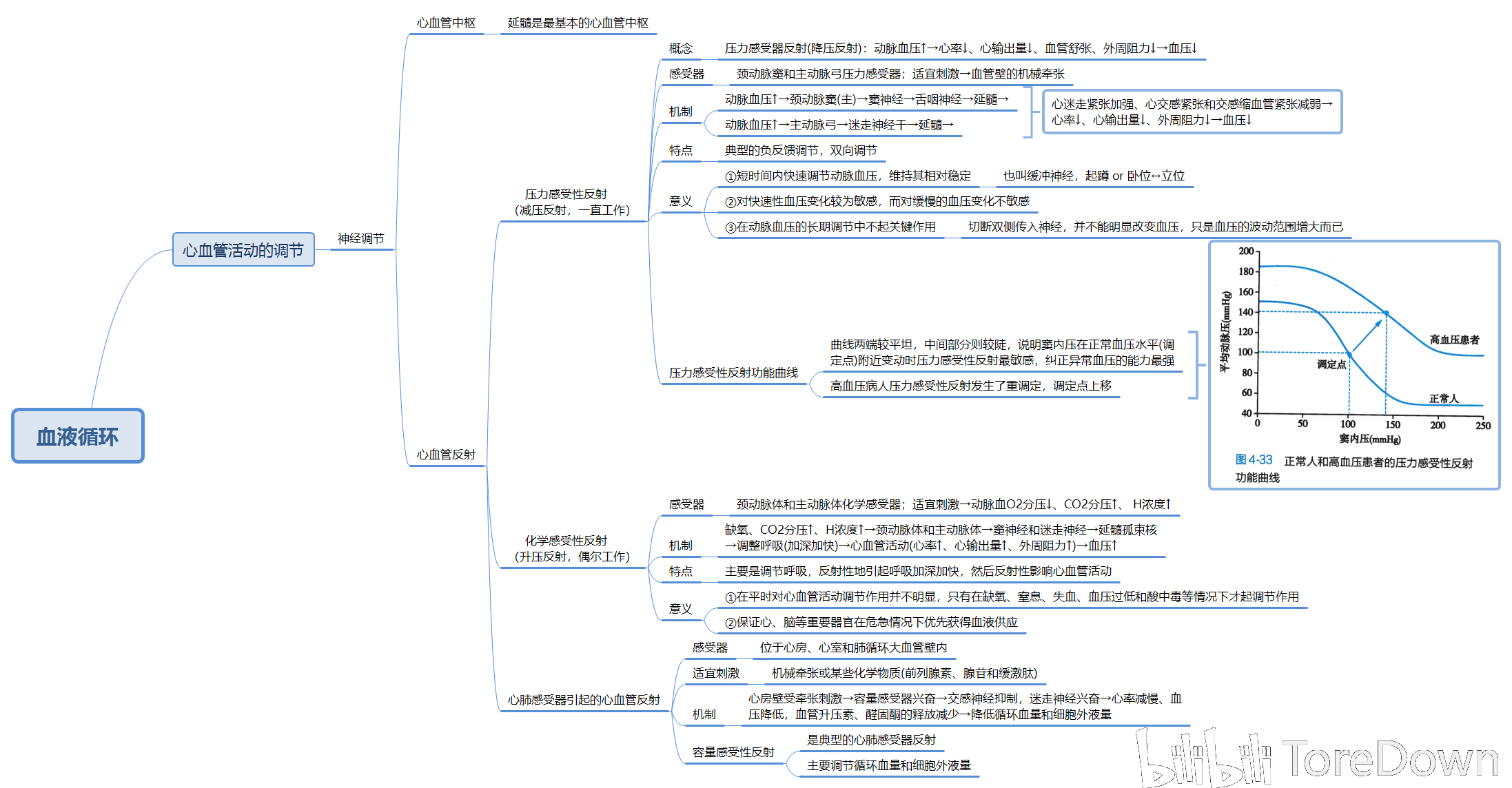 生理学思维导图