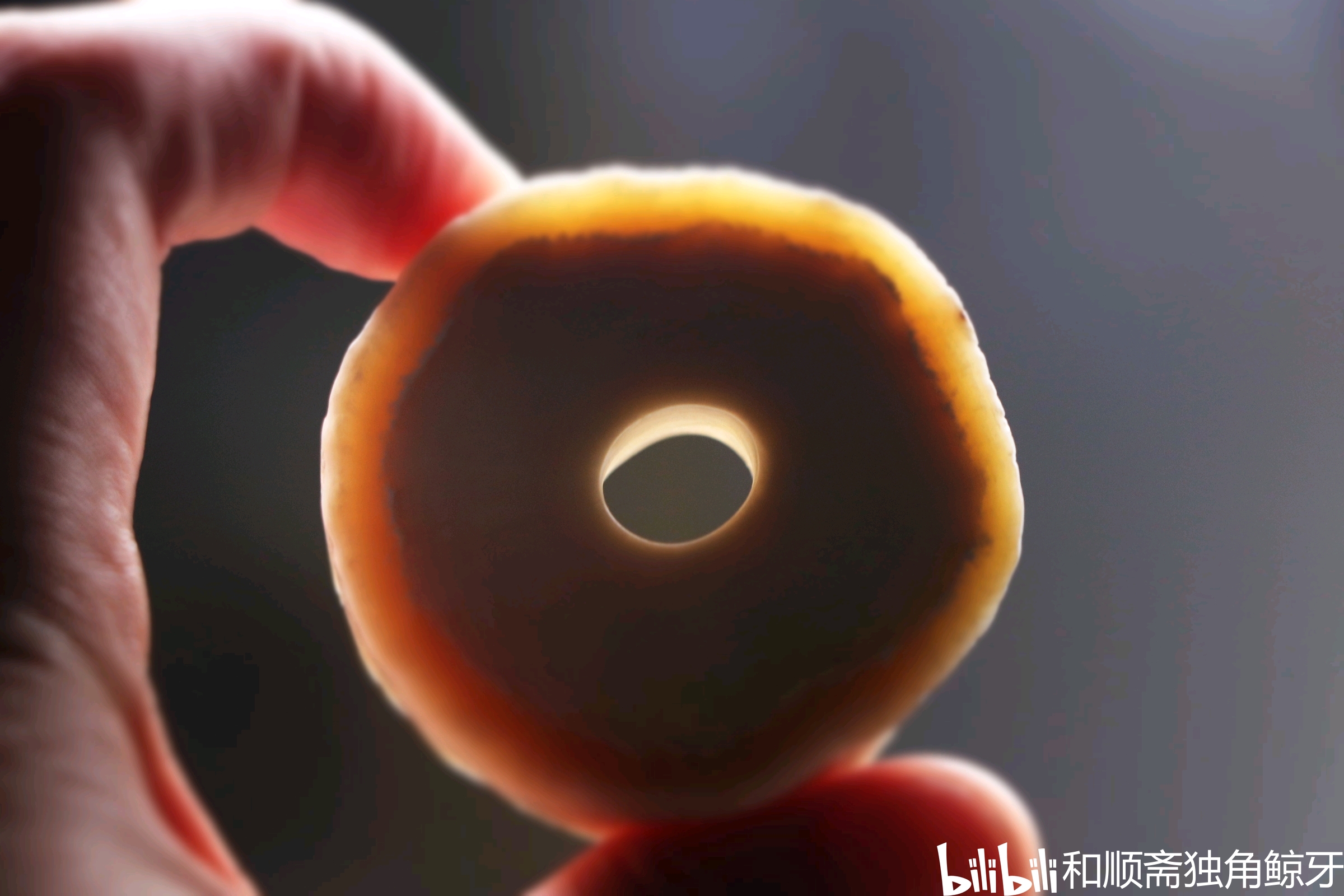 文玩独角鲸牙是什么