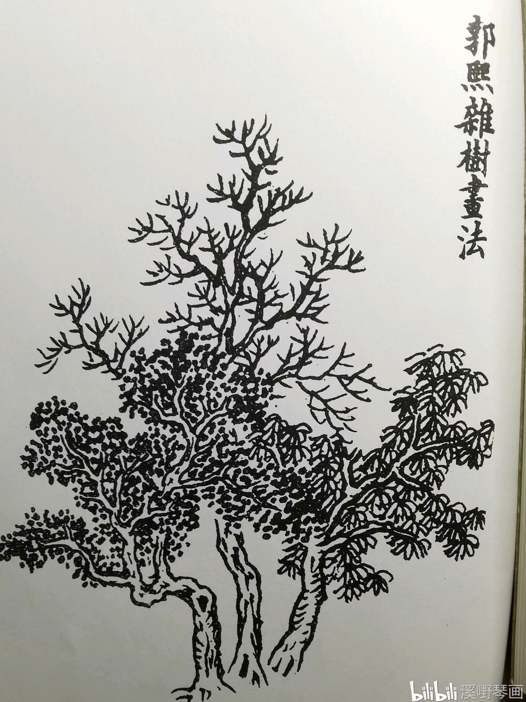 【国画】芥子园/郭熙杂树画法课堂稿/彩色对临稿