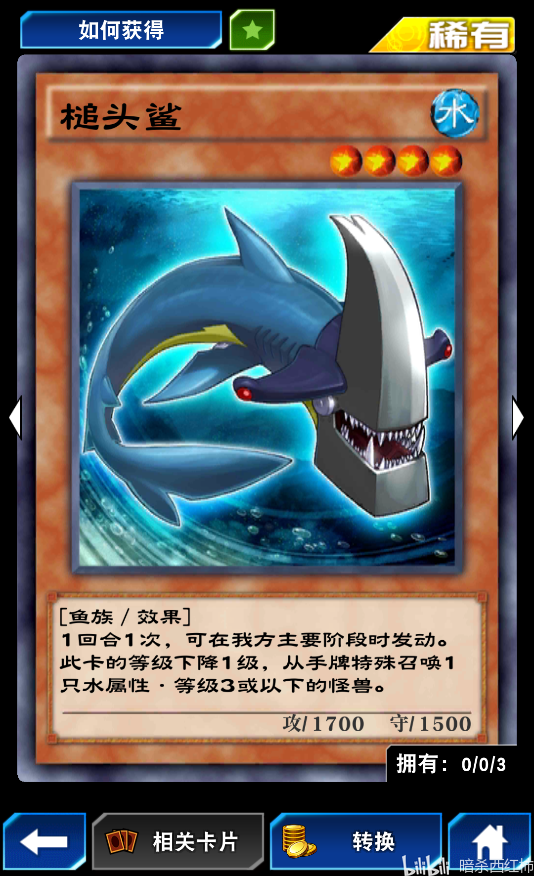槌头鲨