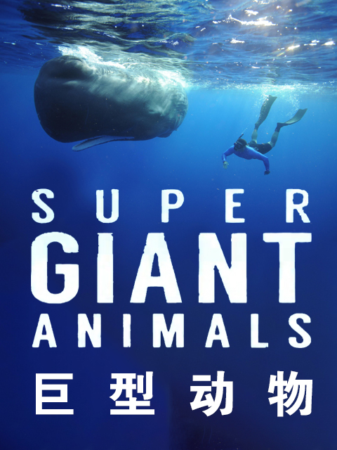 海报背景