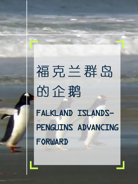 海报背景
