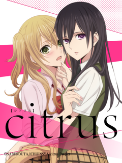 citrus～柑橘味香气