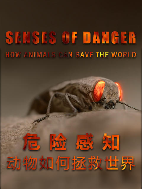 危险感知动物如何拯救世界