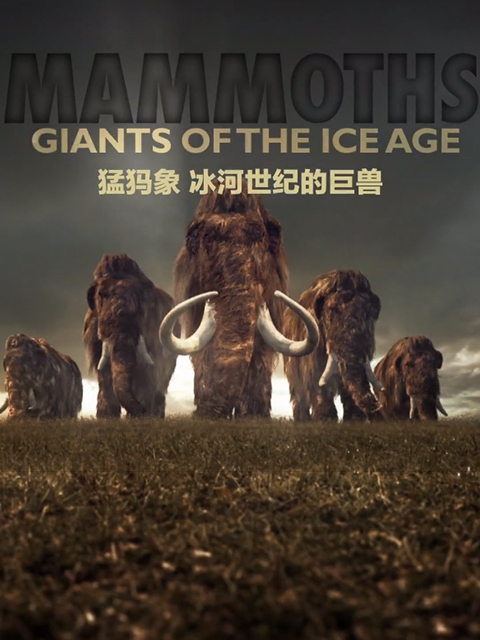猛犸象冰河世纪的巨兽
