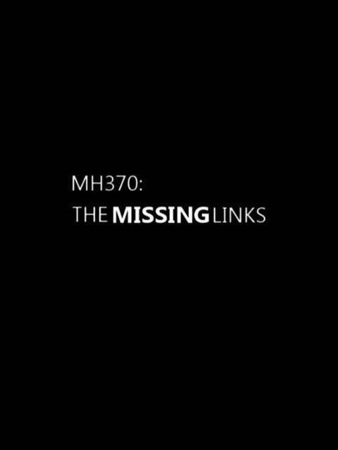 MH370航班失踪疑云