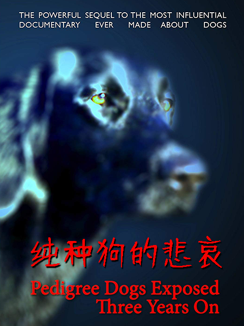 海报背景