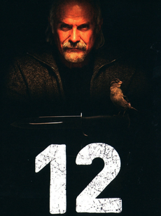 十二怒汉:大审判