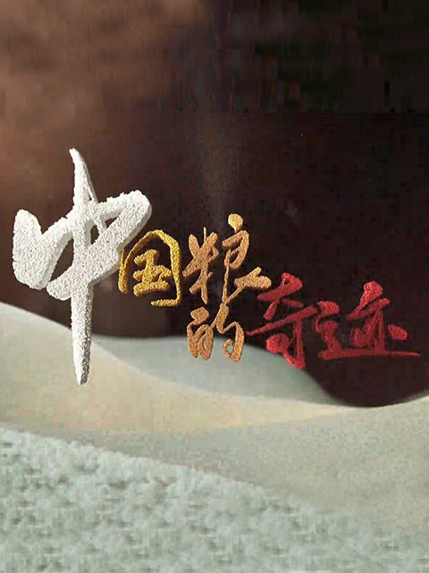 中国粮的奇迹--全集-高清在线观看-bilibili