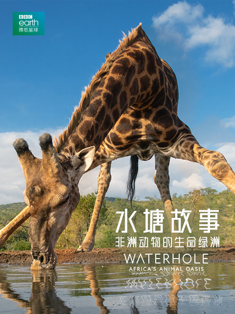 海报背景