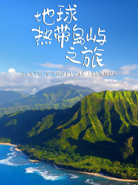 海报背景