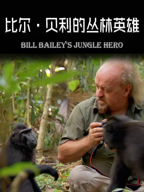 比尔·贝利的丛林英雄