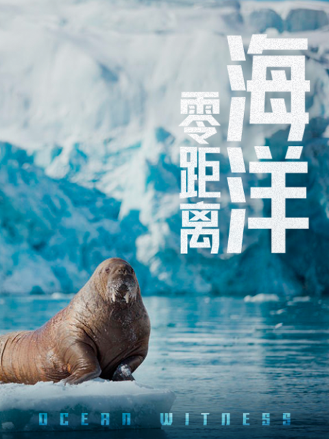 海报背景