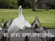 现在是《失落的龙约》最佳入坑时机!