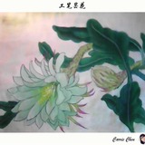 【工笔】昙花(临摹教程书)