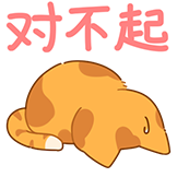 [橘猫_对不起]