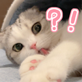 [香香软软的小泡芙_?!]