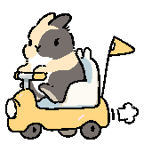 [提摩西小队_来了]
