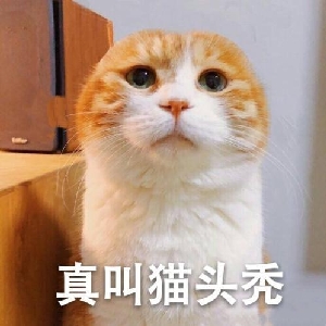 兴迪坑底给我躺平aaa最新极限挑战6路透微博超话