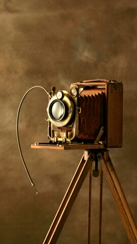 tvb翡翠台的直播间 - 麦芽的香气 - 哔哩哔哩直播