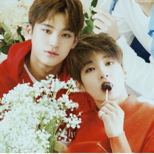 seventeen 金珉奎& 全圆佑 (meanie couple) - miss right