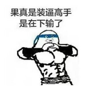 傲气凌云i