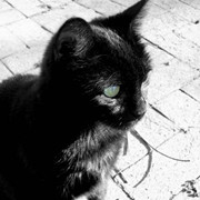 【Numberphile】zero factorial (0的阶乘)_科技