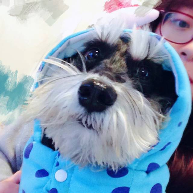 【OSASA】最佳损友_娱乐圈_娱乐_bilibili_哔