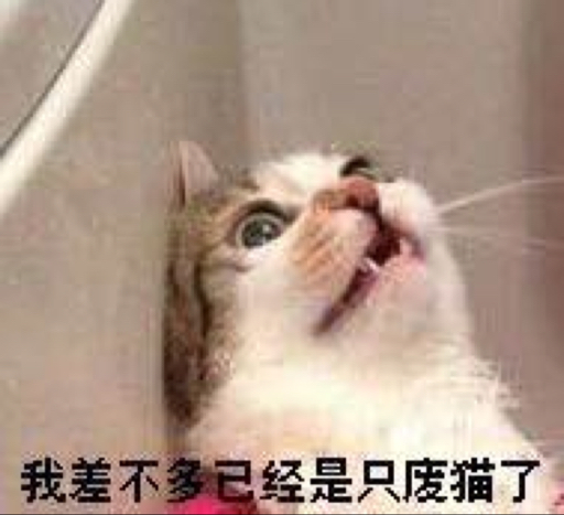 手残废喵