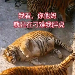 牛哔哩,一个只有评论的网站