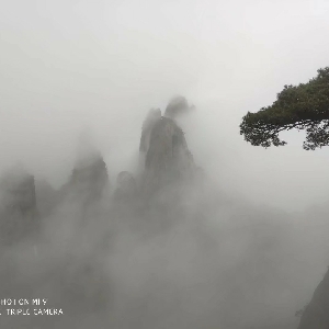 牛哔哩,一个只有评论的网站