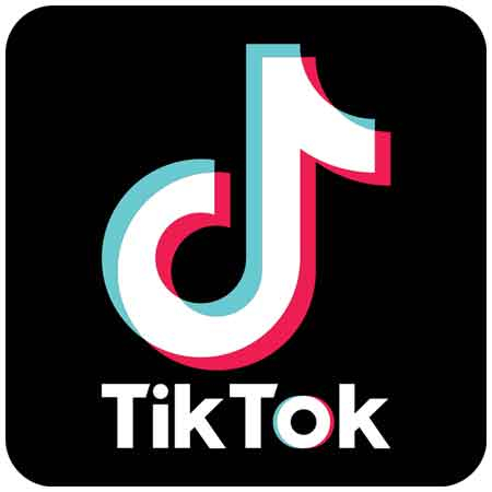 【海外抖音tiktok】歌词挑战?