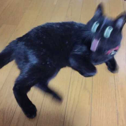 杀乌鸡的直播间 - 逆风哈 - 哔哩哔哩直播