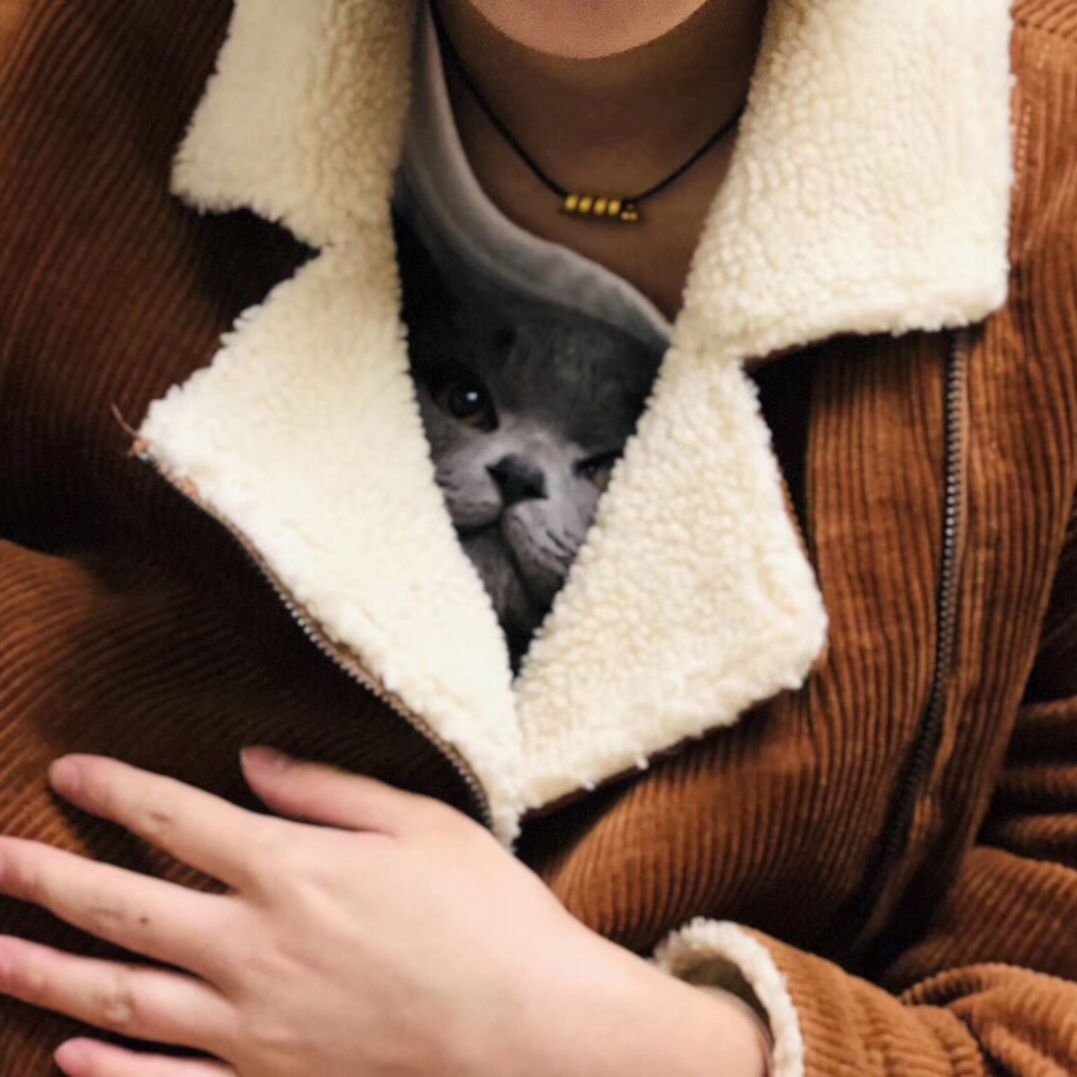 如何做好一名CSGO主播?