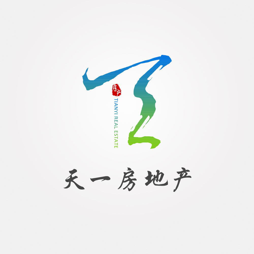 天一房地产——2017年经历过程