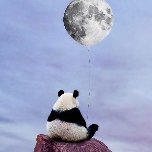 一小波有虐有甜,有情节又有肉的文来袭~