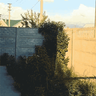 329_328gif 动态图 动图