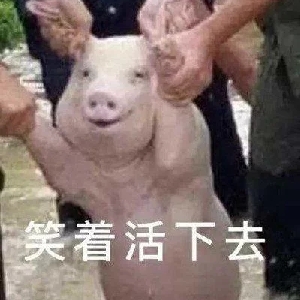 牛哔哩,一个只有评论的网站