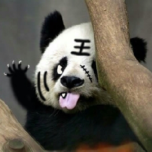 熊人族永不卖萌