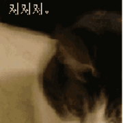 180_180gif 动态图 动图
