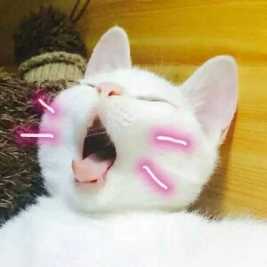 背景有点简陋,真的不好意思,两个害羞的汉子真的不敢穿着cos服出去