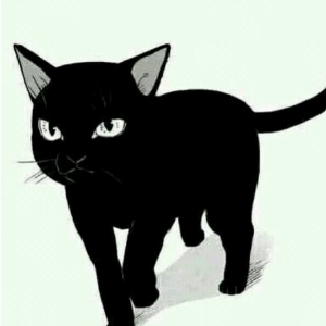 LA黑猫