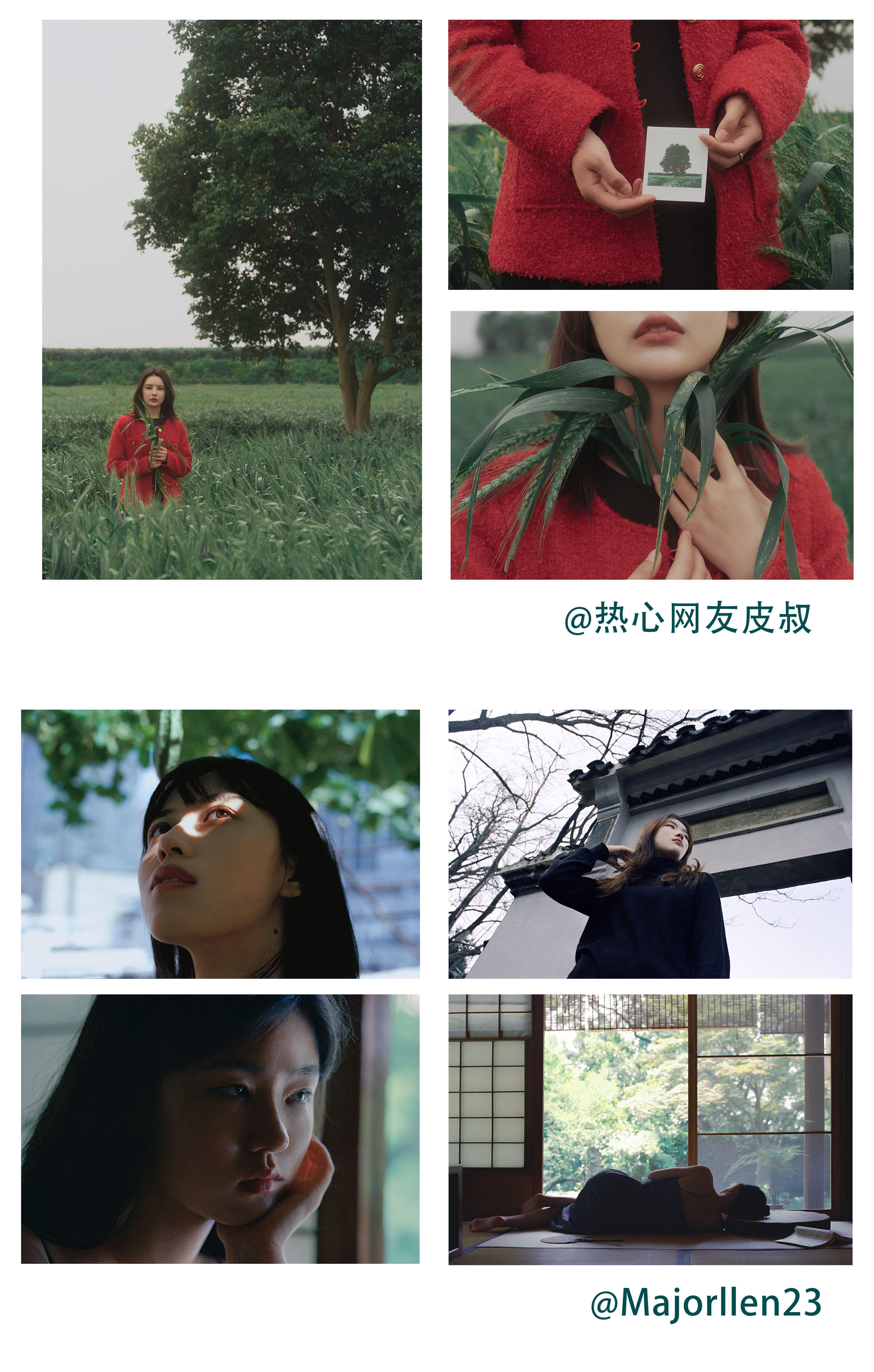 课程介绍