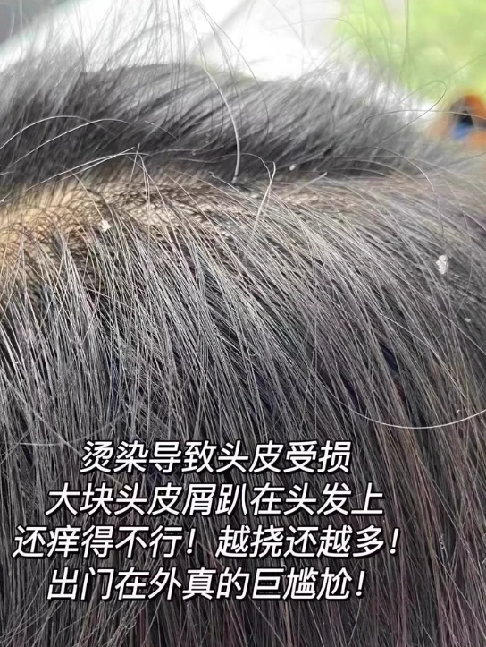 0b0263fd8e8614d5b992087d7a6203393546963712674403.png@1088w_1446h