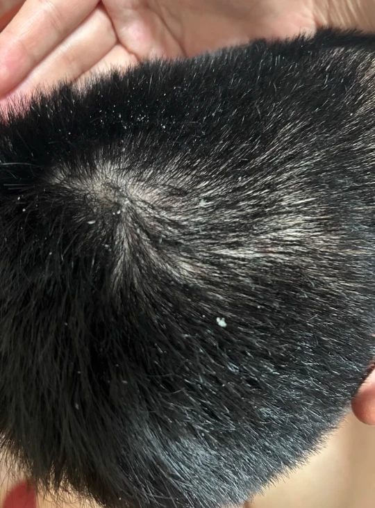 0e1e834aebcfada5a5e0b7633ffe916b3546979164490402.png@1080w_1462h