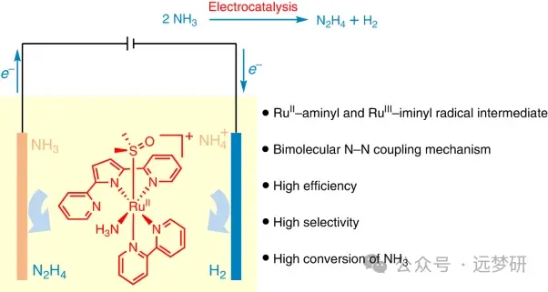 ical ruthenium-catalysed ammonia oxidation.通过高效电化学
