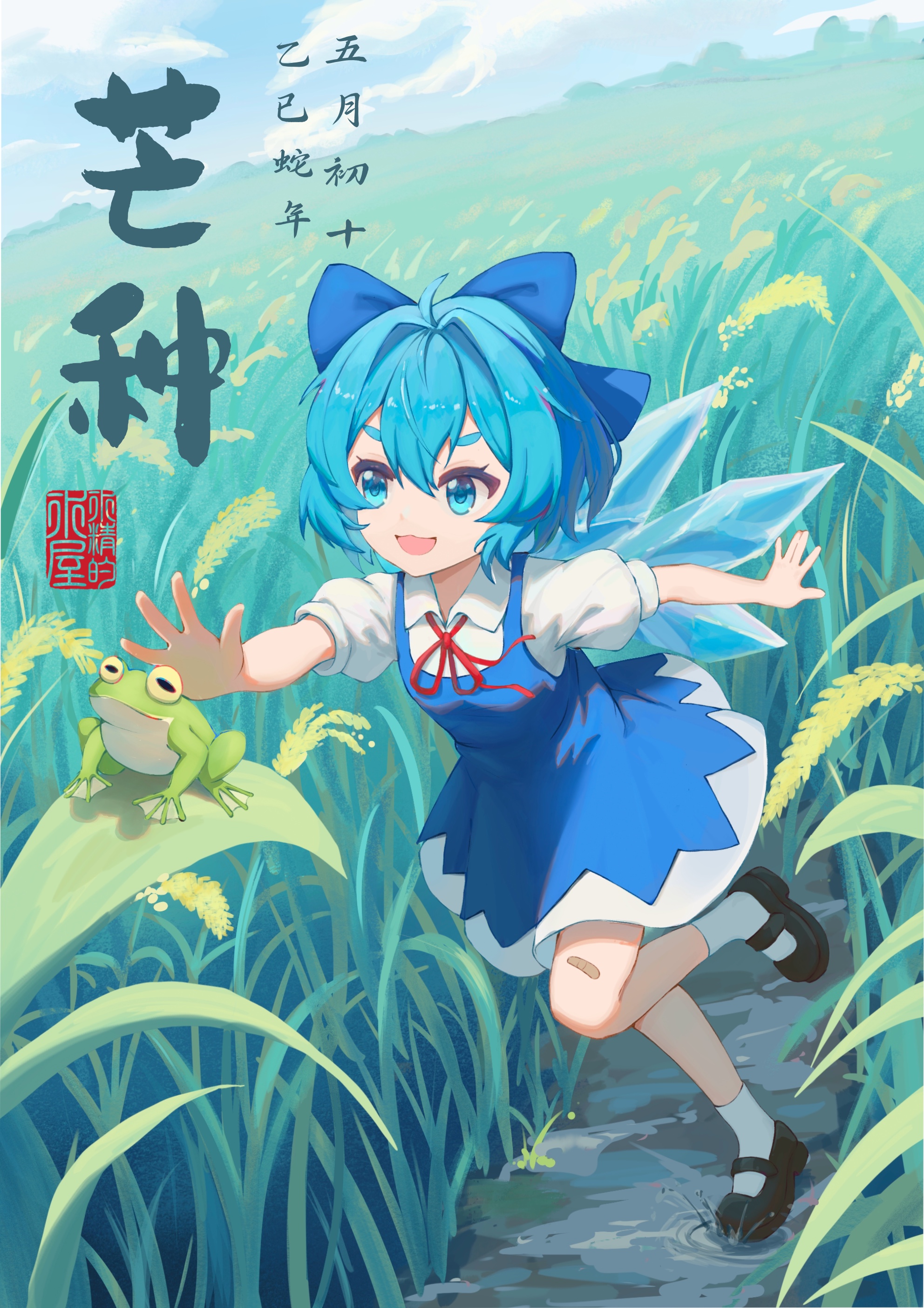 芒种