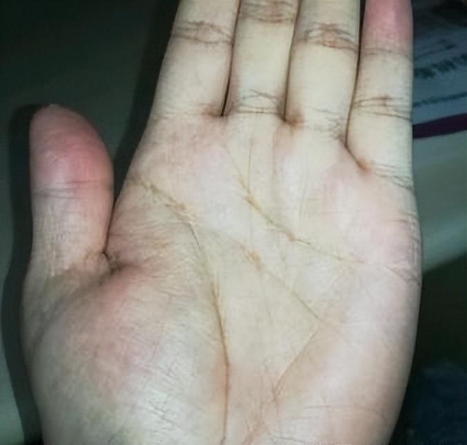 什么样的手掌财运好 4c1a6e97e76173e3d707cdc905d816201930663386.jpg